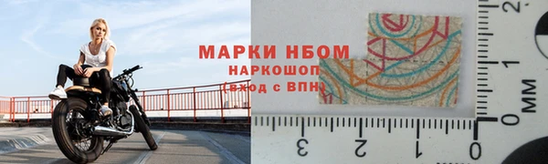 индика Абаза
