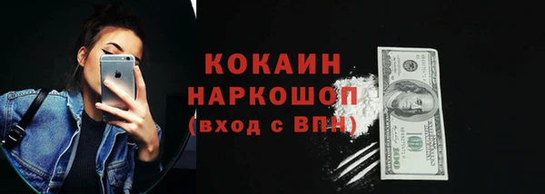 индика Абаза