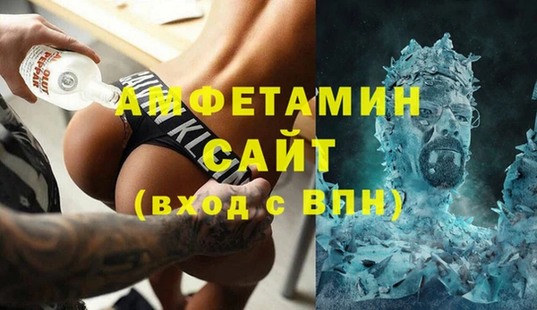 индика Абаза