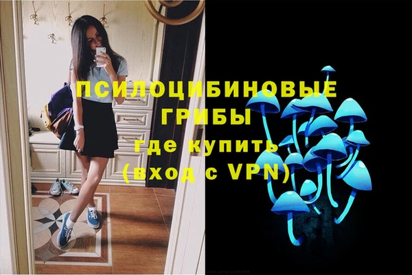 бошки Новокубанск