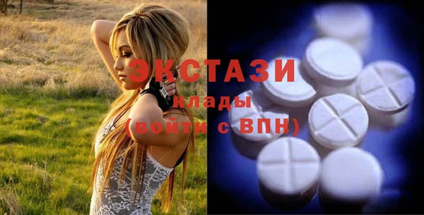 индика Абаза