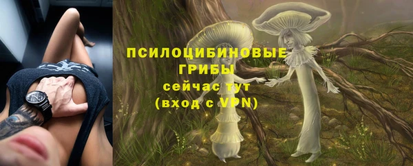 хмурый Абдулино