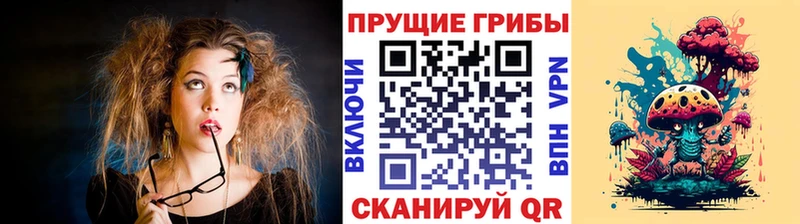 Галлюциногенные грибы Psilocybine cubensis Хилок