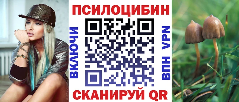 Галлюциногенные грибы Psilocybe  цена   Хилок 